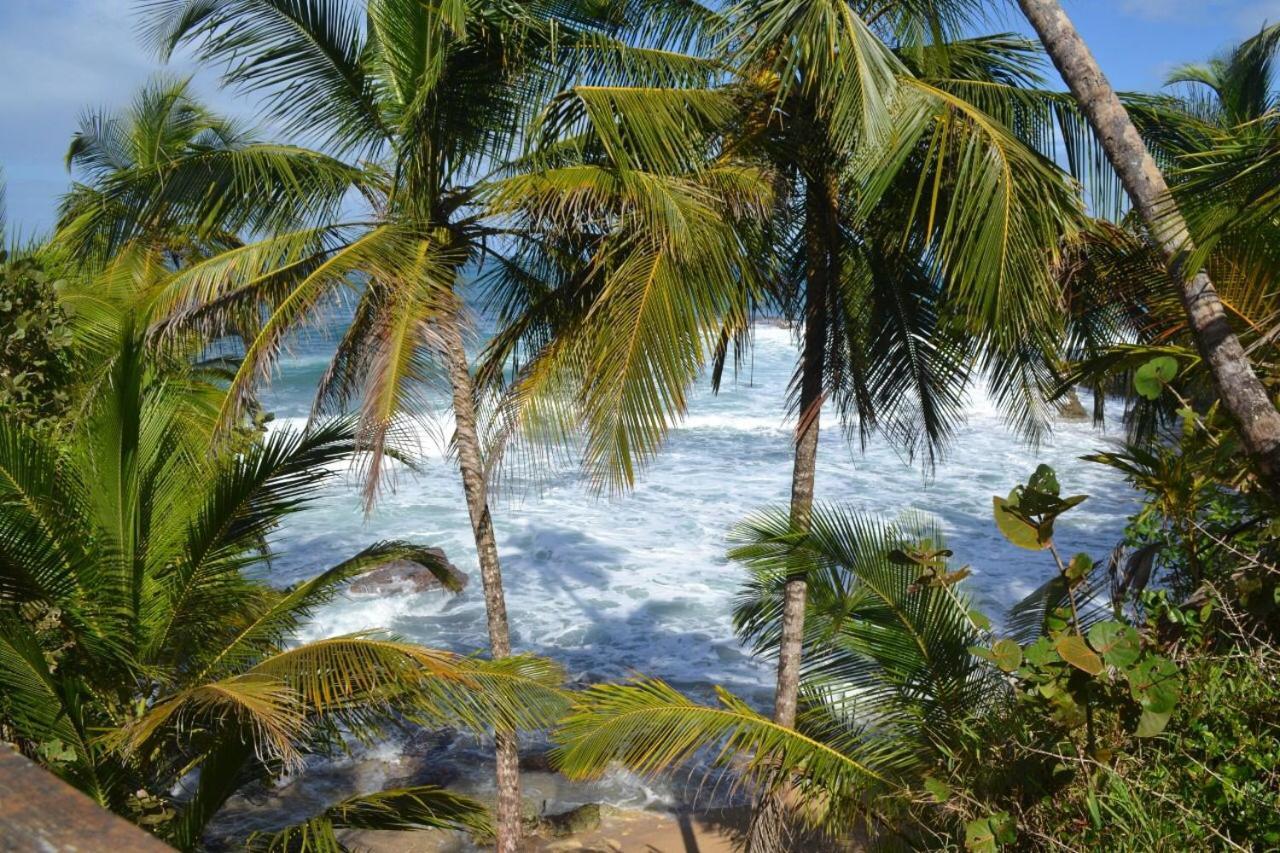 Hotel Cahuita Esterno foto